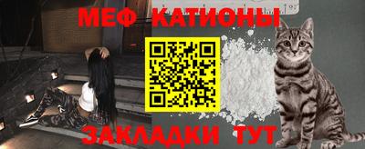 крисы Кингисепп