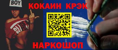 крисы Кингисепп