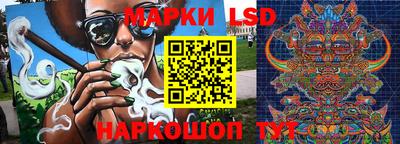 крисы Кингисепп