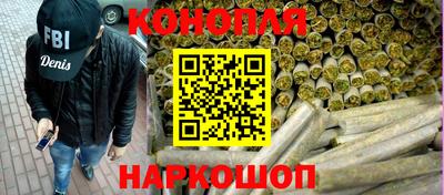 крисы Кингисепп