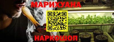крисы Кингисепп