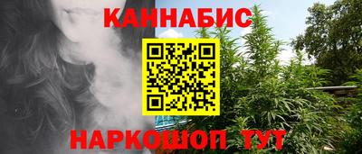 крисы Кингисепп